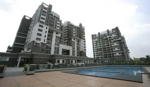 Featured Image of Sobha Petunia