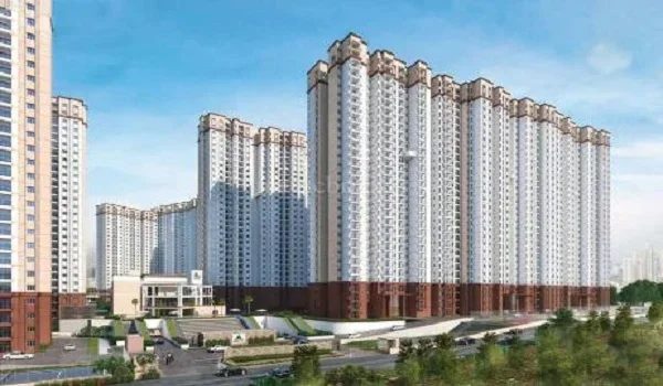 Featured Image of Whitefield